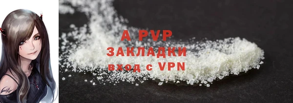 марки lsd Новозыбков