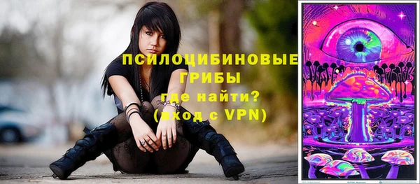 бошки Новокубанск