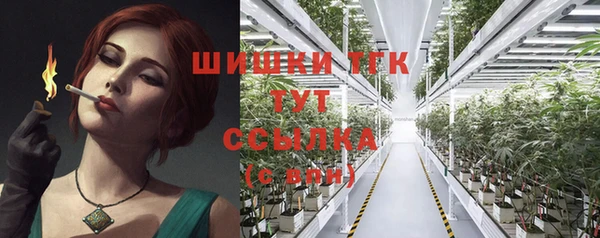 марки lsd Новозыбков