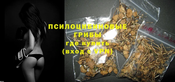 ГАЛЛЮЦИНОГЕННЫЕ ГРИБЫ Нея